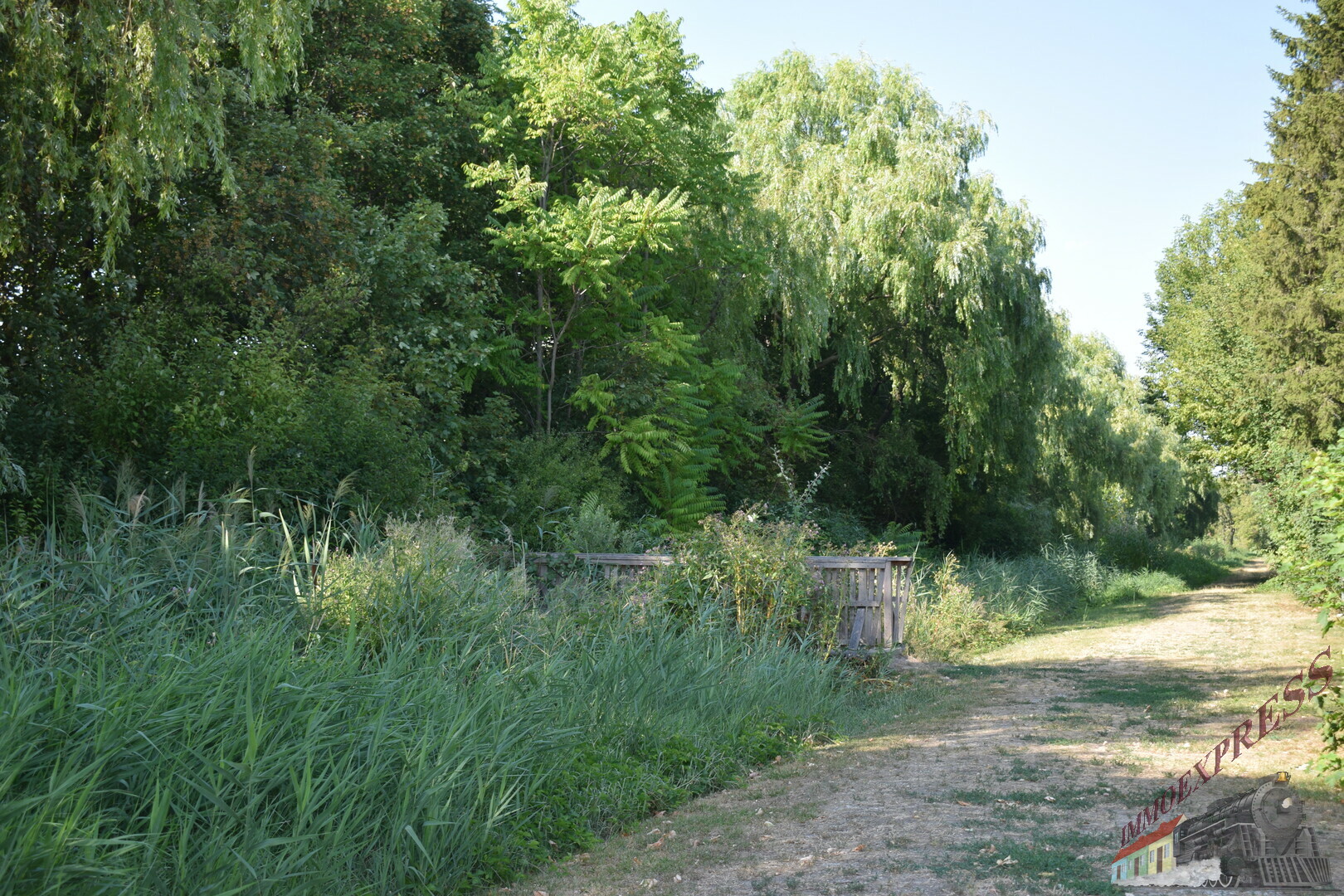 DSC_0010 DSC_0010