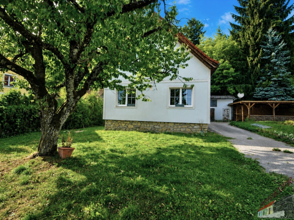 Bild1